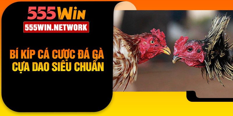 Bí kíp cá cược đá gà cựa dao siêu chuẩn