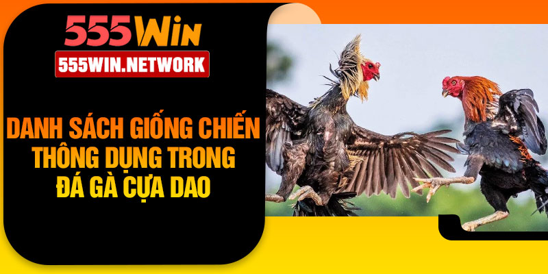 Danh sách giống chiến thông dụng trong đá gà cựa dao