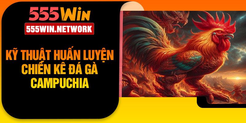 Kỹ thuật huấn luyện chiến kê đá gà Campuchia