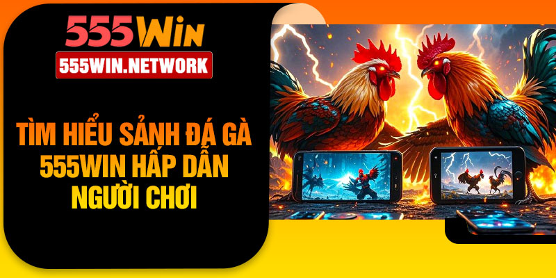 Tìm hiểu sảnh đá gà 555Win hấp dẫn người chơi