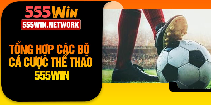 Tổng hợp các bộ môn cá cược thể thao 555WIN