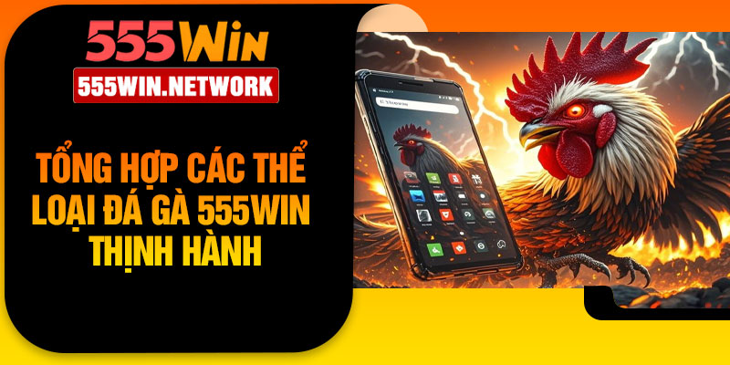Tổng hợp các thể loại đá gà 555win thịnh hành